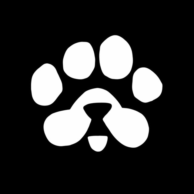 PAWS بوت عملة