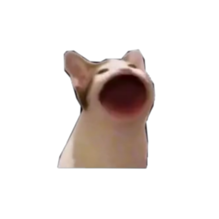 Kino