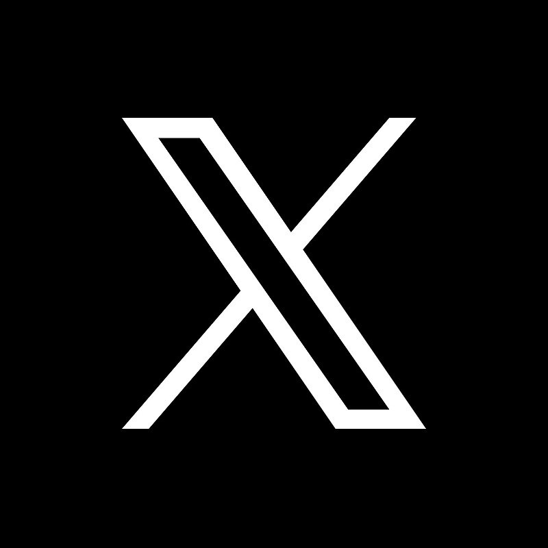 X (Twiter)