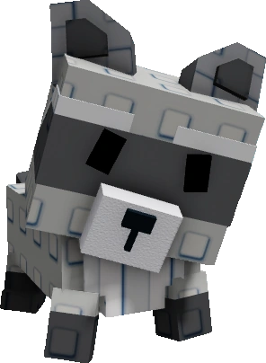 FREE RACCOON