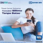 CV sinar langit biru BRlmo