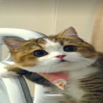 Stefan123456w24