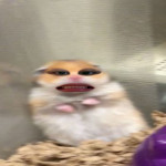 Thư