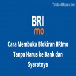 BRI INFO