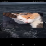 Riski